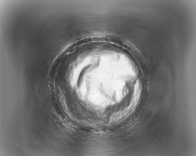 X0000064761208200602241901