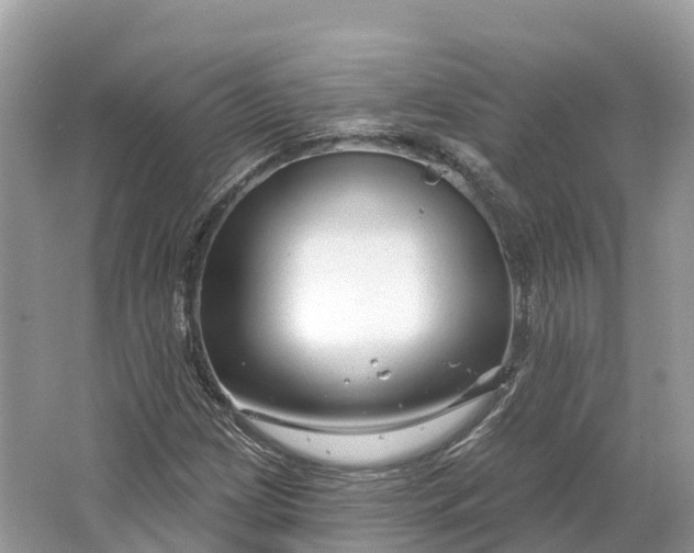 X0000064761209200602241901