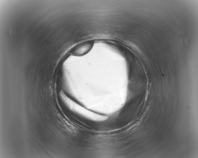 X0000064761212200602241901