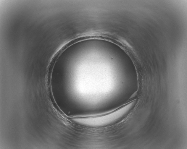 X0000064761216200602241902