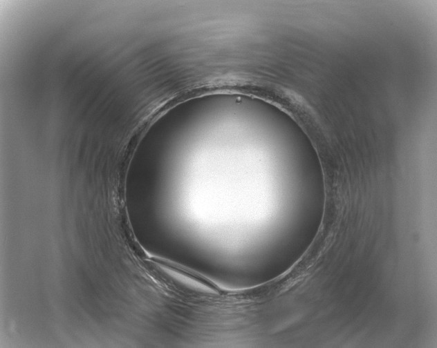X0000064761217200602241902