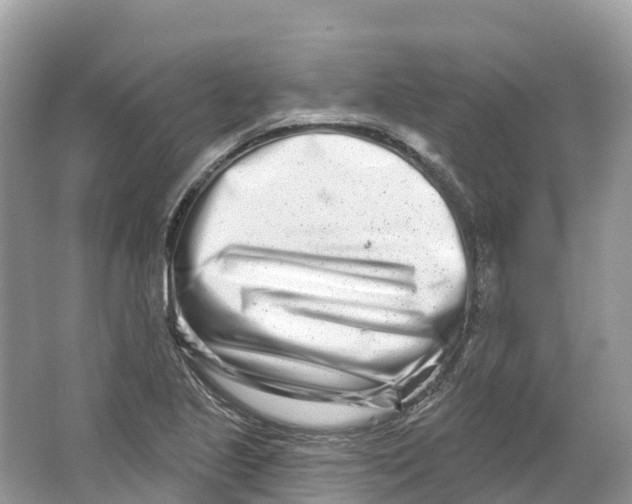 X0000064761221200602241902