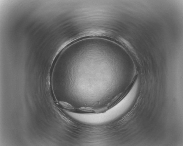 X0000064761226200602241902