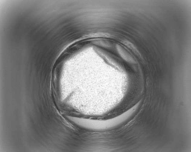 X0000064761228200602241902