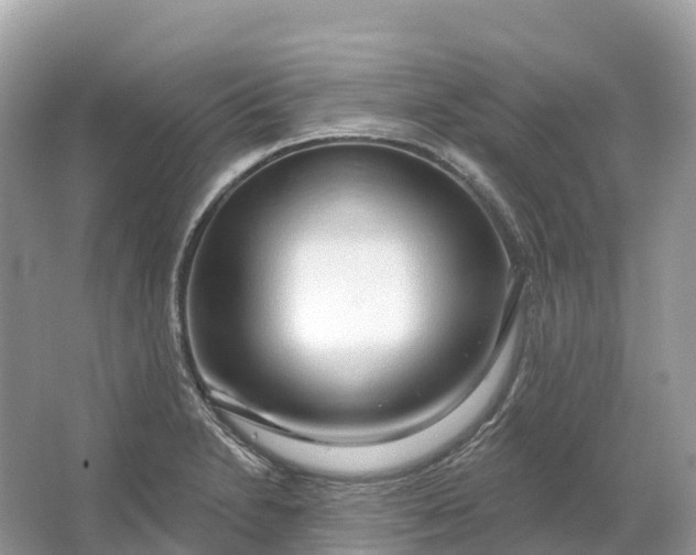X0000064761230200602241902