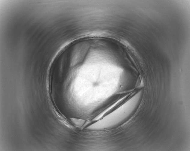 X0000064761232200602241902