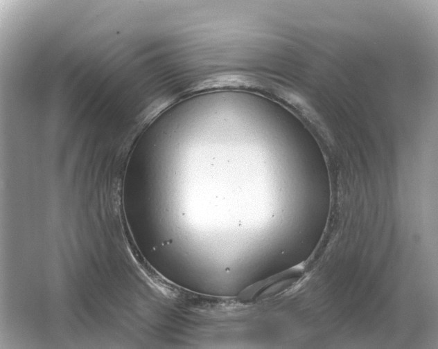 X0000064761233200602241902