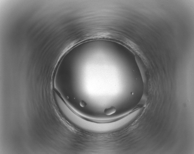 X0000064761234200602241902