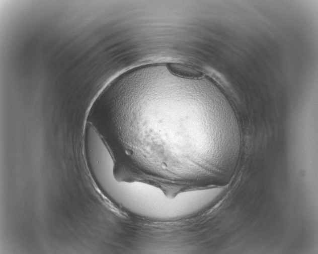 X0000064761236200602241902
