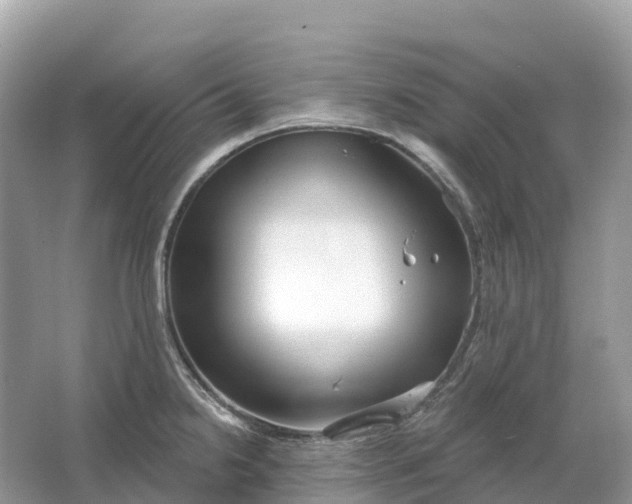 X0000064761238200602241902