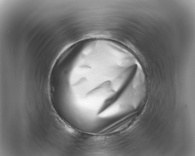 X0000064761240200602241902