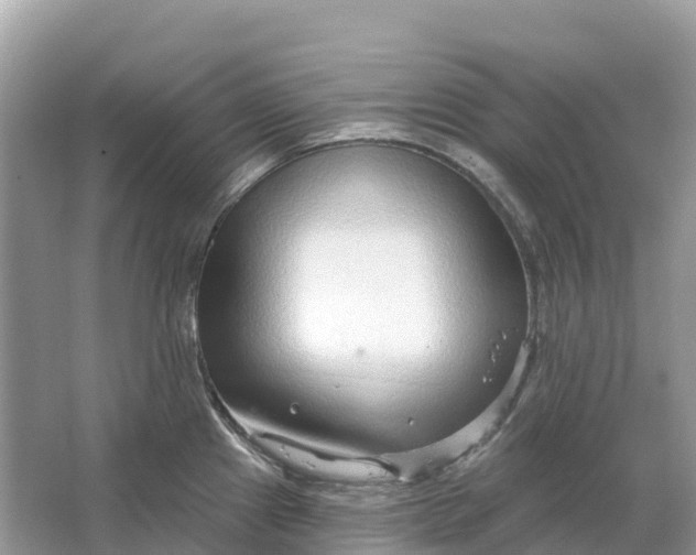 X0000064761241200602241902