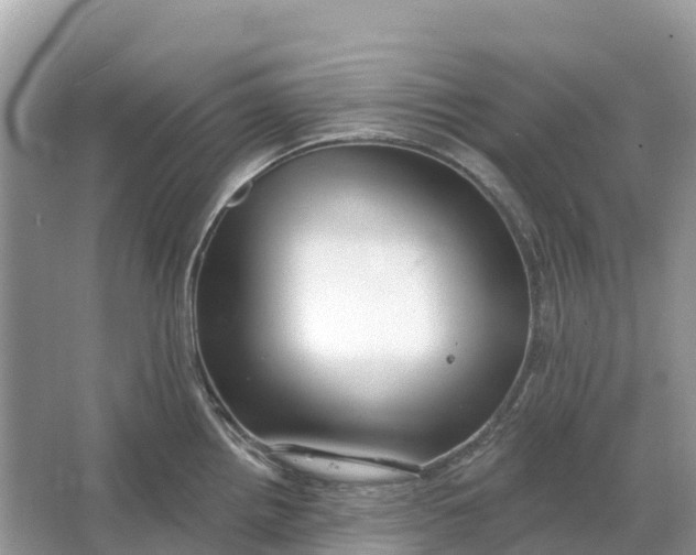 X0000064761242200602241902