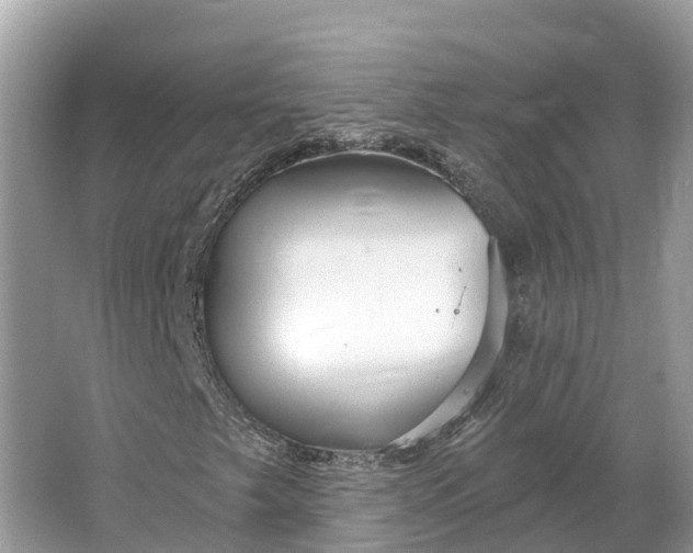 X0000064761249200602241901
