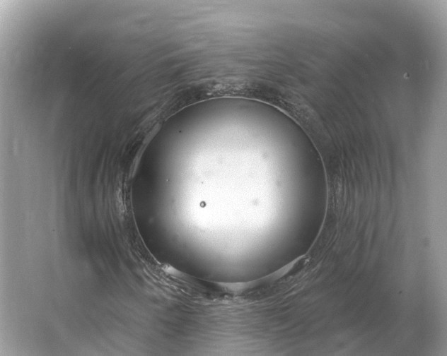 X0000064761250200602241901
