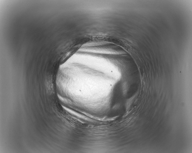 X0000064761252200602241901