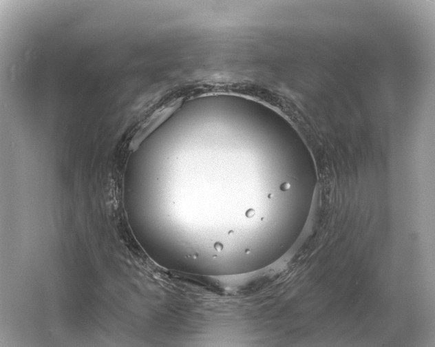X0000064761253200602241901