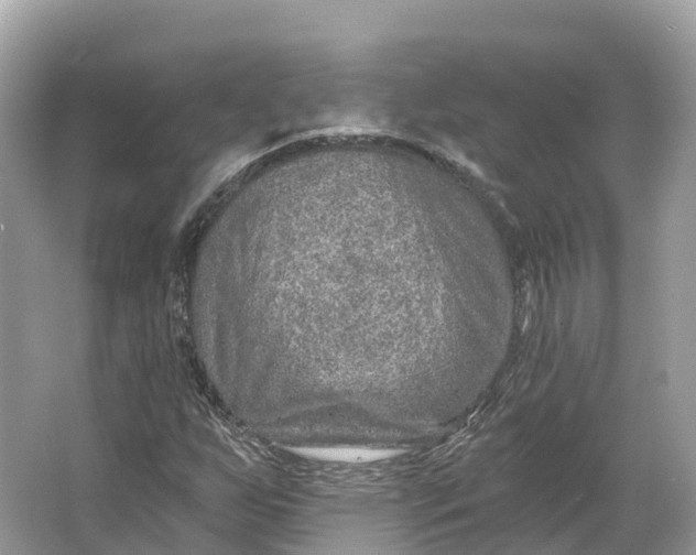 X0000064761255200602241901