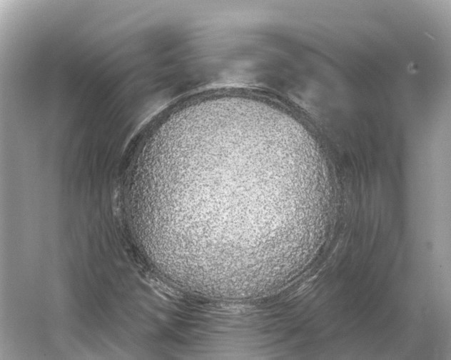 X0000064761258200602241901