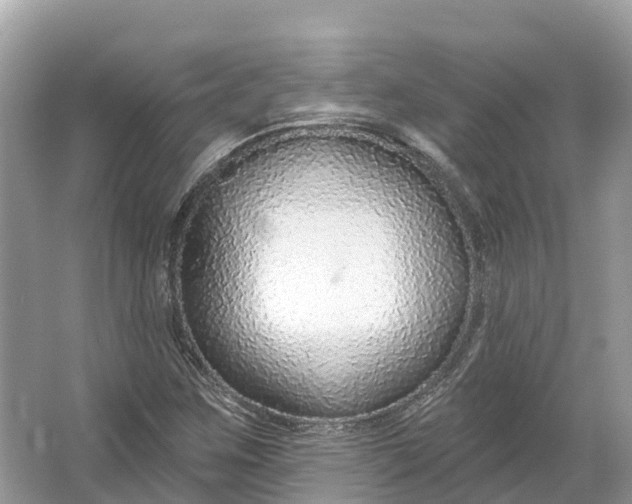 X0000064761259200602241901