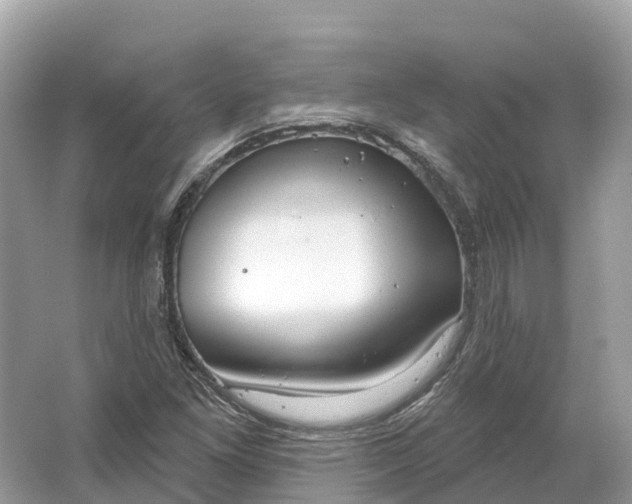 X0000064761261200602241901