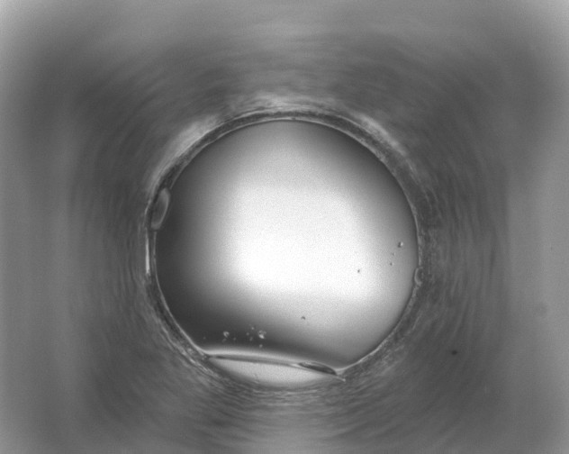 X0000064761269200602241901