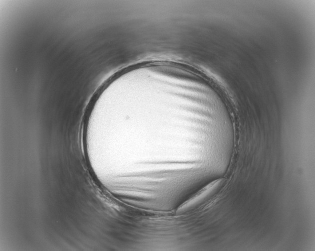 X0000064761272200602241901