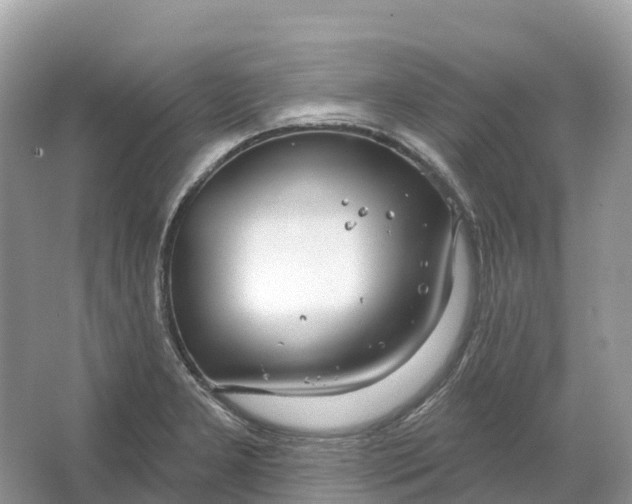 X0000064761277200602241900