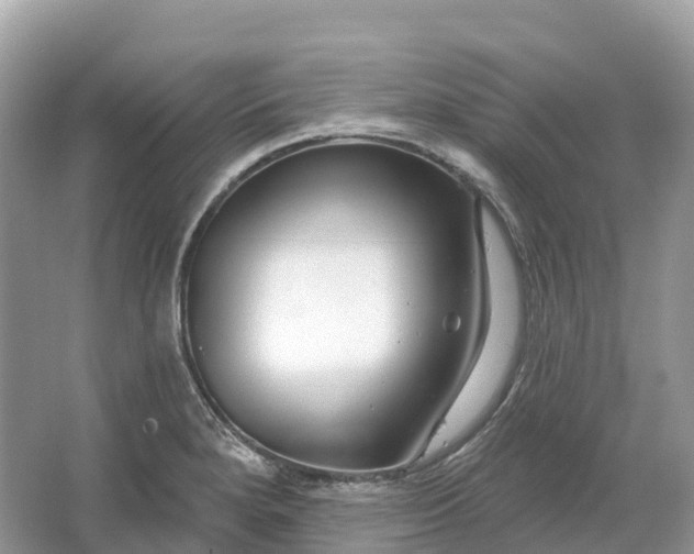 X0000064761280200602241900
