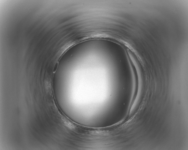 X0000064761281200602241900