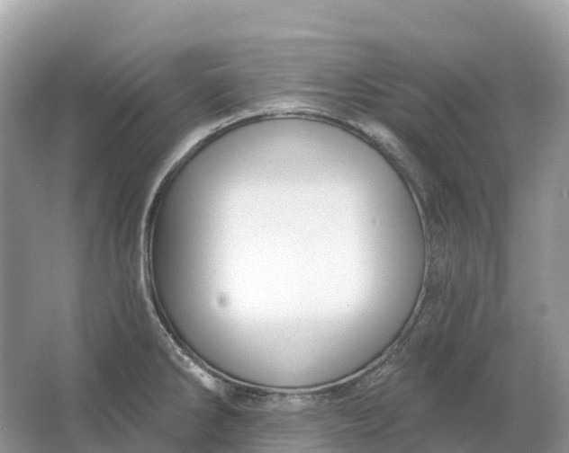 X0000064761286200602241900