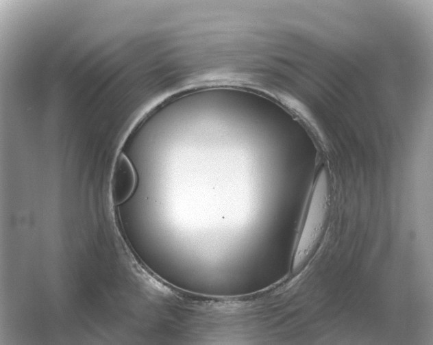 X0000064761288200602241900