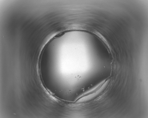 X0000064761293200602241900