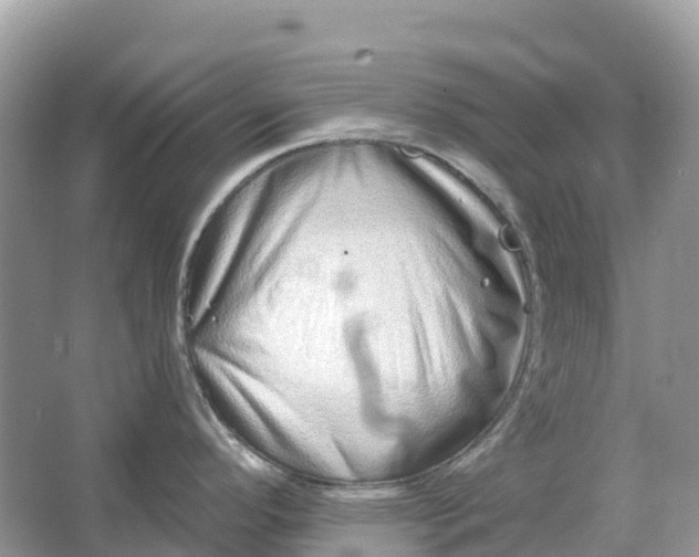 X0000064761296200602241900