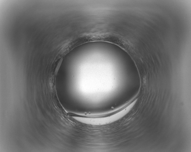 X0000064761300200602241859