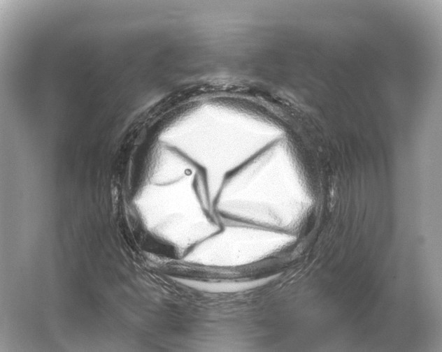 X0000064761302200602241859