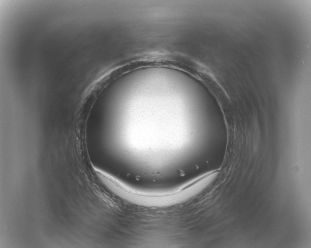 X0000064761304200602241859
