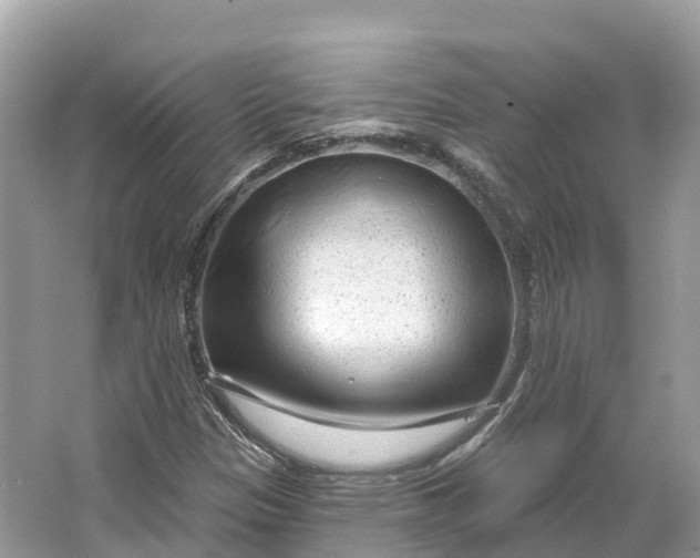 X0000064761305200602241859