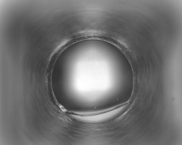 X0000064761309200602241859