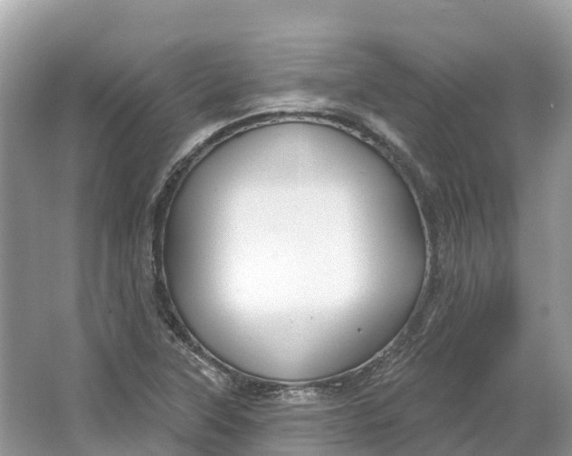 X0000064761315200602241859