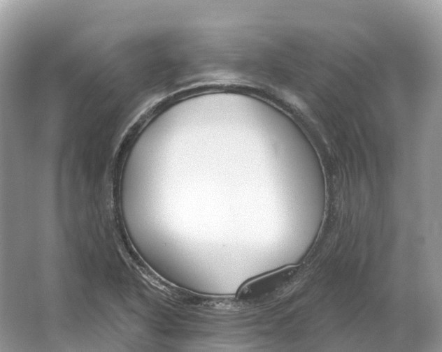 X0000064761318200602241859