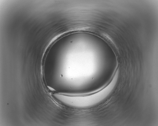 X0000064761324200602241859