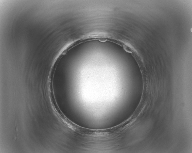 X0000064761325200602241859