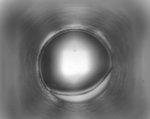 X0000064761328200602241900