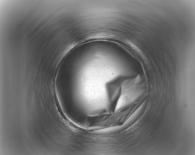 X0000064761329200602241900