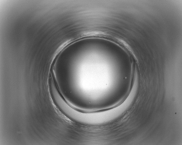 X0000064761330200602241900