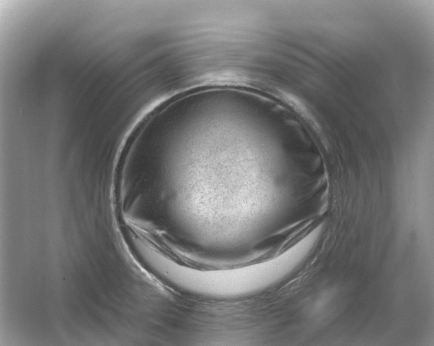 X0000064761331200602241900