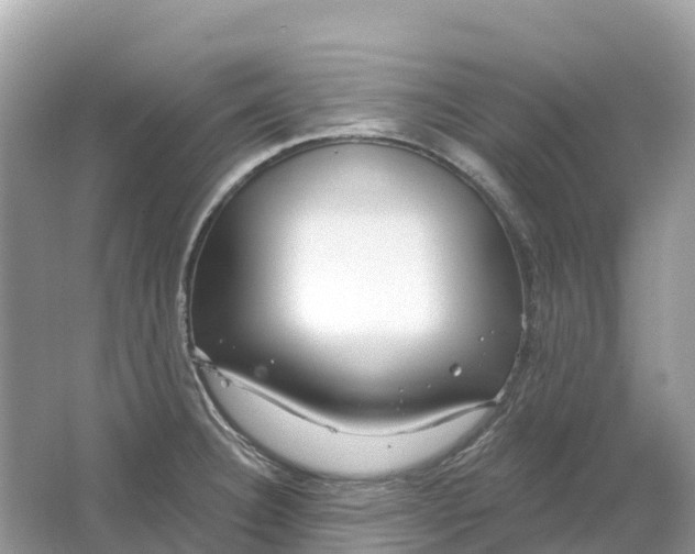 X0000064761332200602241900