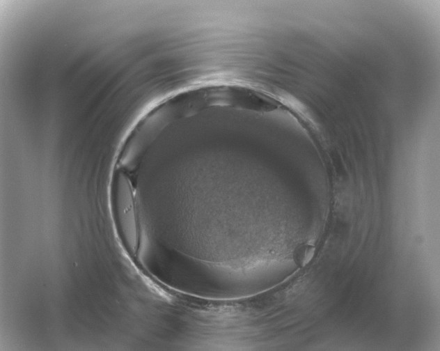 X0000064761334200602241900