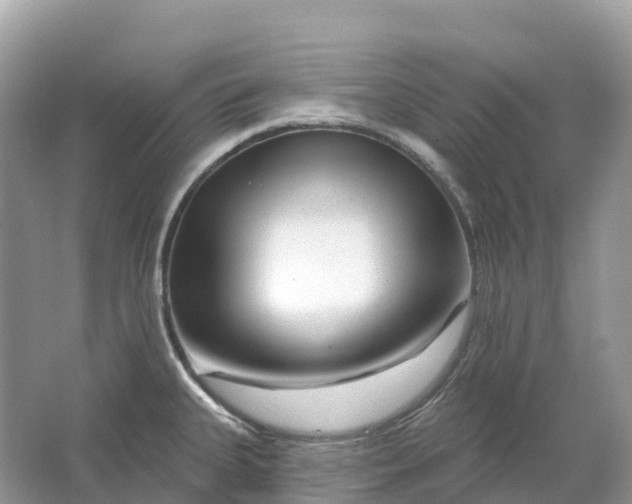 X0000064761335200602241900